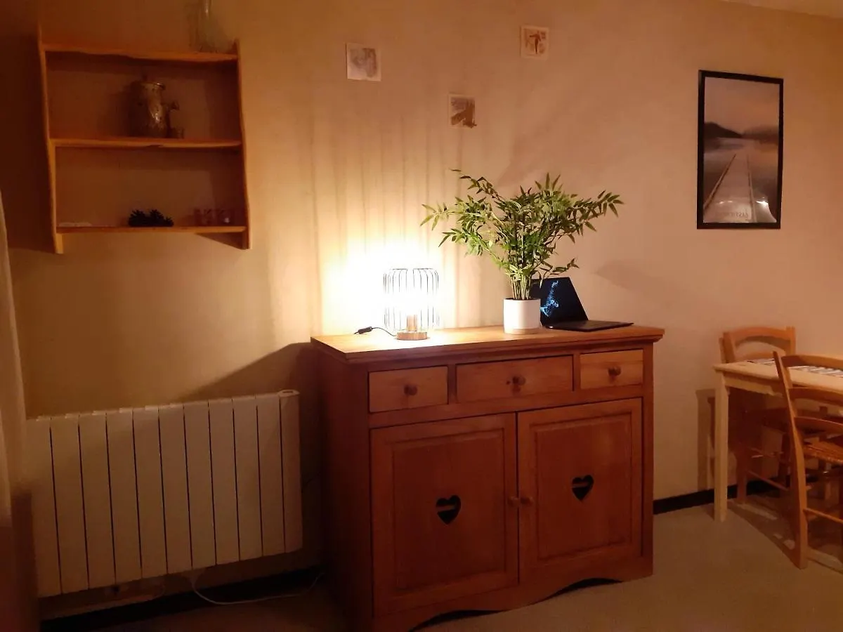 Appartement Front De Neige Wifi Residence Le Tyrol 4 Personnes Les Deux Alpes França